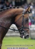 Quick de Ste Hermelle