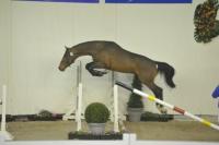 sieur expertise étalons