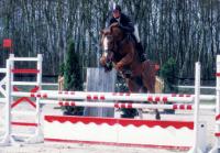Babylis de Ste Hermelle