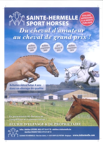 Du cheval d’amateur au cheval de grand prix !