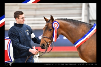 Jenepi Ste Hermelle termine 5ème du championnat de France des étalons de 2 ans👏👏.