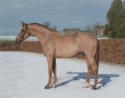Ideal Ste Hermelle