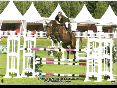 Taillefer Ste Hermelle