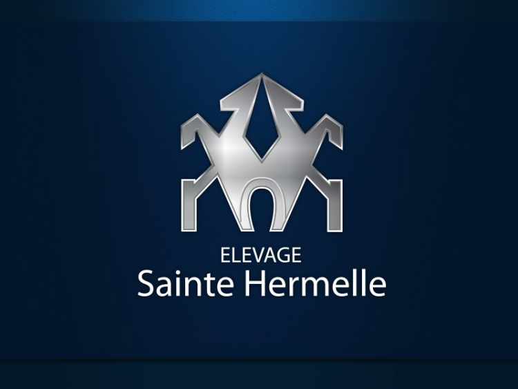 Magic Ste Hermelle